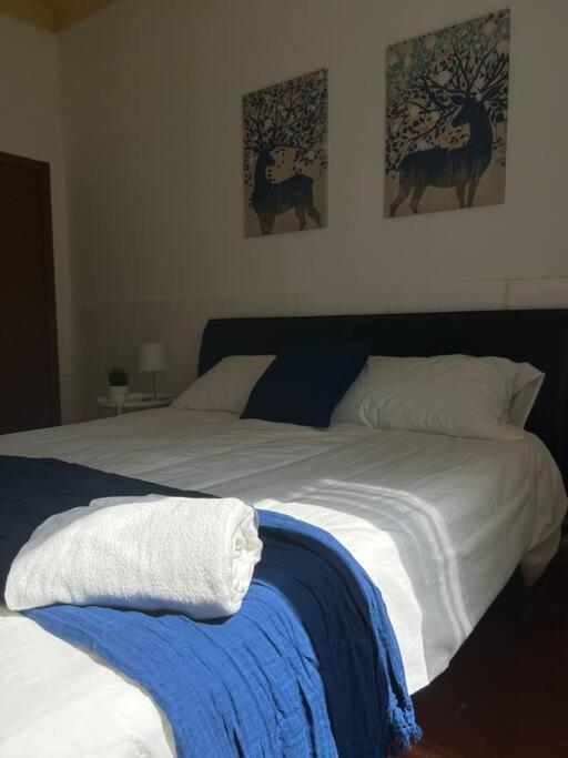 Cavalieri Apartment *